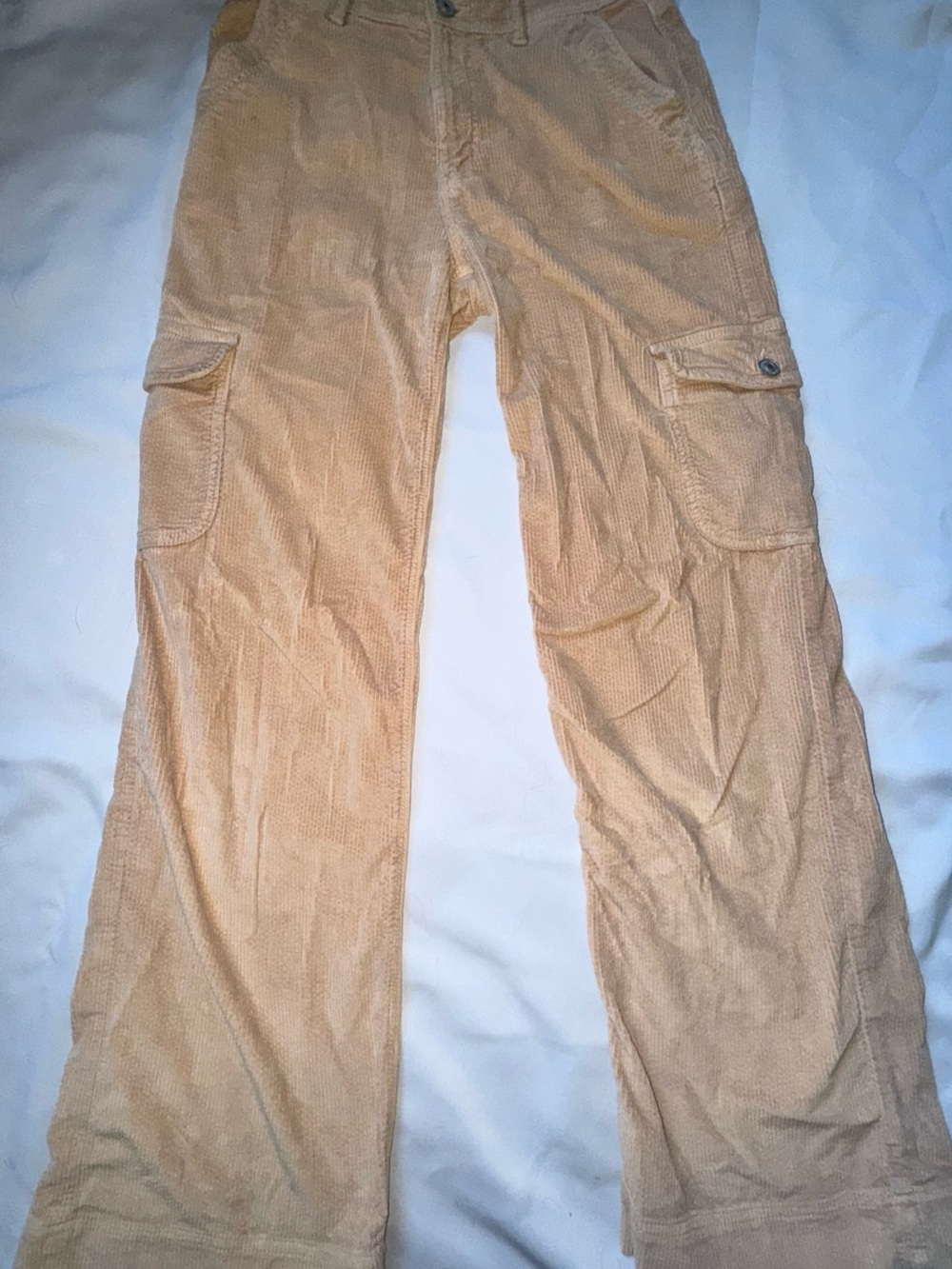 American Eagle Outfitters Light Tan Corduroy Cargo Pants